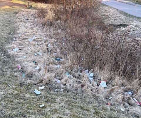 Picked up trash during afternoon walk